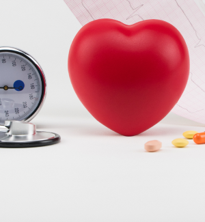 Herz, Kreislauf und Gefässe